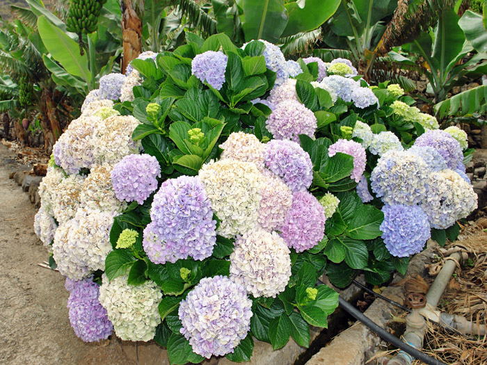 Zur�ck zur Bild�bersicht? Hier klicken!