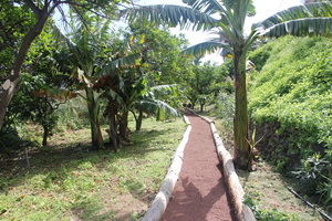 Zum Vergr��ern auf das Bild klicken...