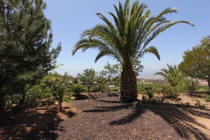 Zum Vergr��ern auf das Bild klicken...