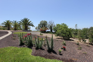 Zum Vergr��ern auf das Bild klicken...