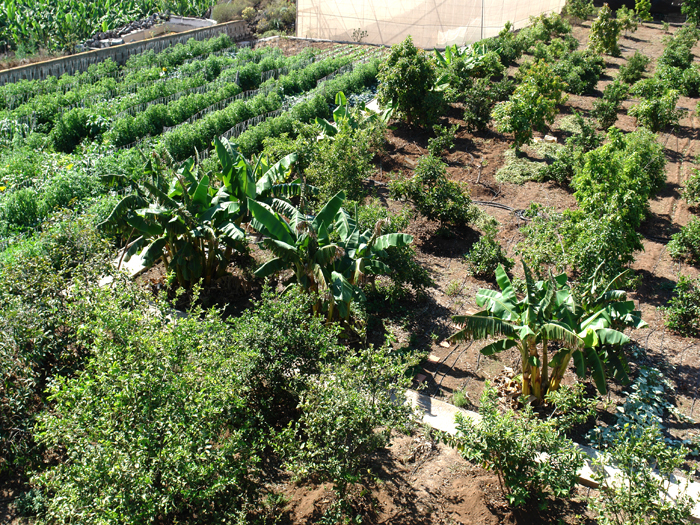 Zur�ck zur Bild�bersicht? Hier klicken!