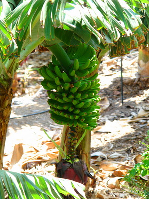 Zum Vergr��ern auf das Bild klicken...