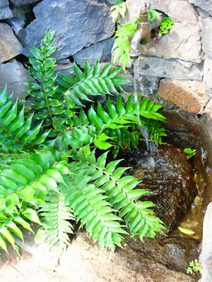 Zum Vergr��ern auf das Bild klicken...