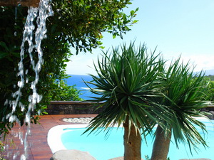 Zum Vergr��ern auf das Bild klicken...