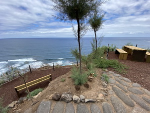 Zum Vergr��ern auf das Bild klicken...