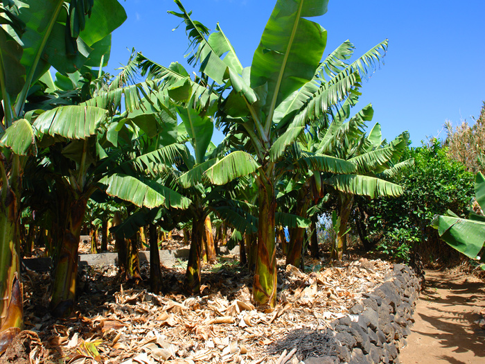 Zur�ck zur Bild�bersicht? Hier klicken!