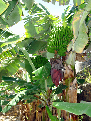 Zum Vergr��ern auf das Bild klicken...