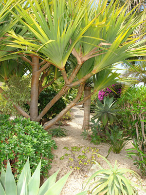 Zum Vergr��ern auf das Bild klicken...