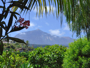 Zum Vergr��ern auf das Bild klicken...