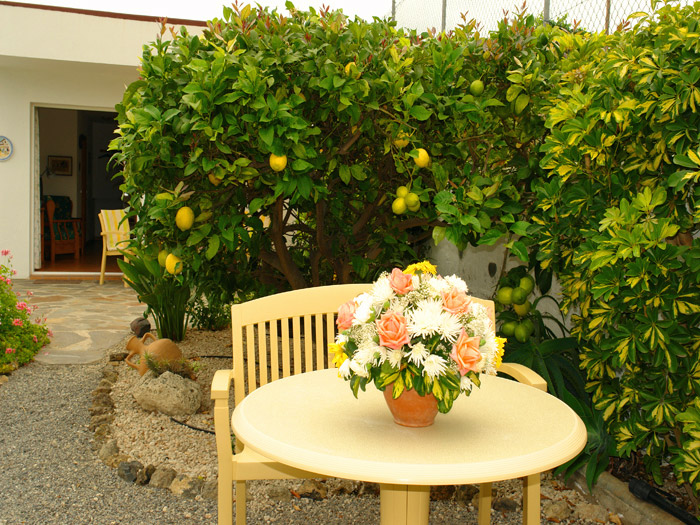 Zur�ck zur Bild�bersicht? Hier klicken!