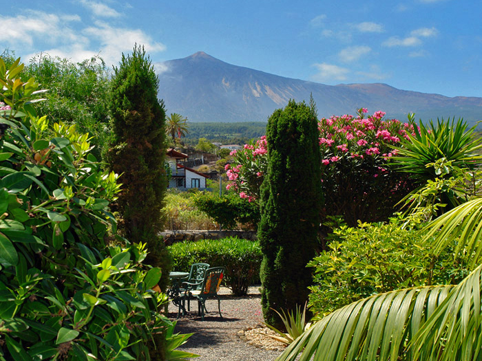 Zur�ck zur Bild�bersicht? Hier klicken!