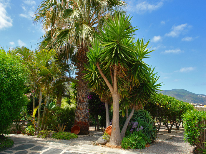 Zur�ck zur Bild�bersicht? Hier klicken!