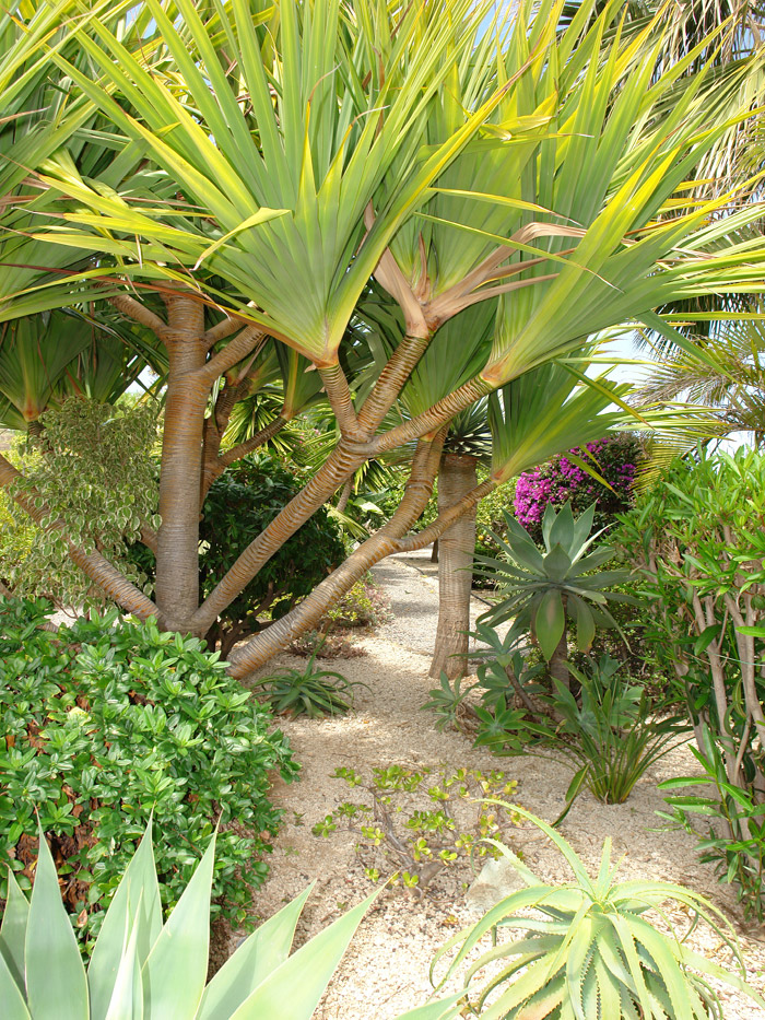 Zur�ck zur Bild�bersicht? Hier klicken!