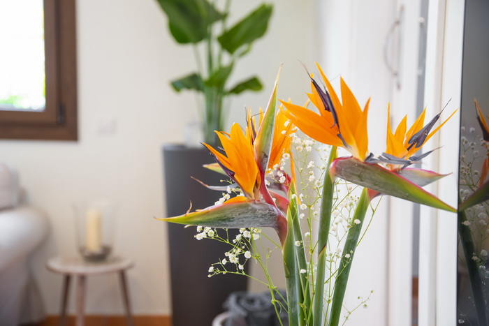 Zur�ck zur Bild�bersicht? Hier klicken!