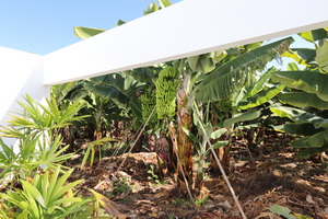 Zum Vergr��ern auf das Bild klicken...